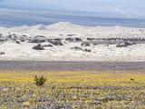 Death Valley 034